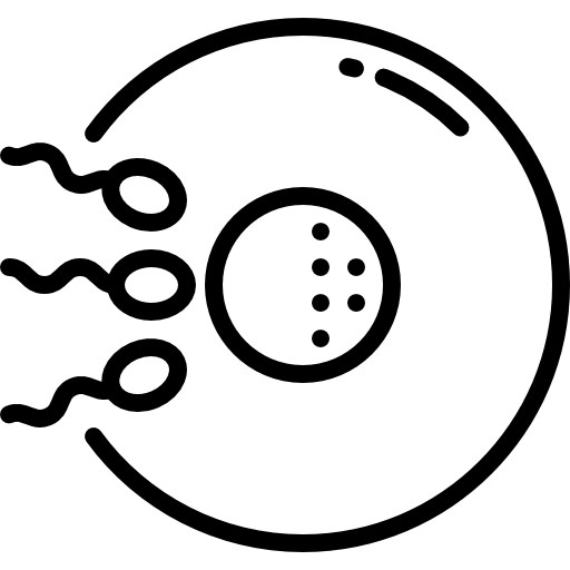 Ícone de fertilidade