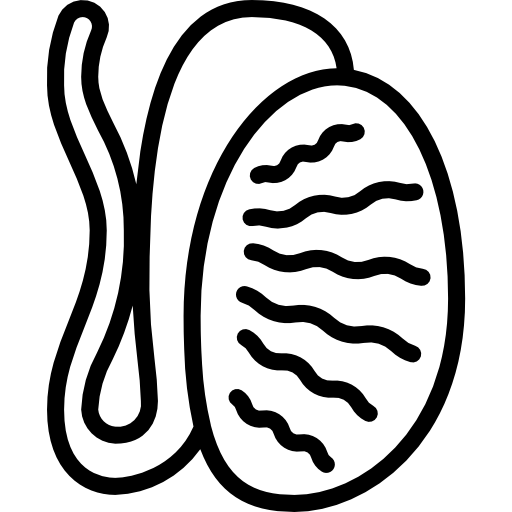Ícone de varicocele